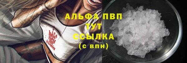 винт Касимов