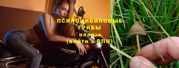 твердый Балахна