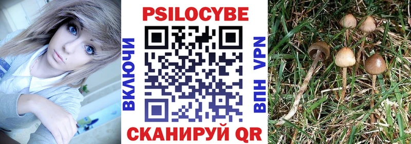 Галлюциногенные грибы прущие грибы  Ершов 